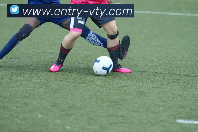 v体育平台生态图